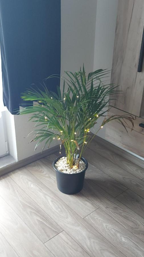 Apartament Antonias Făgăraş Eksteriør billede