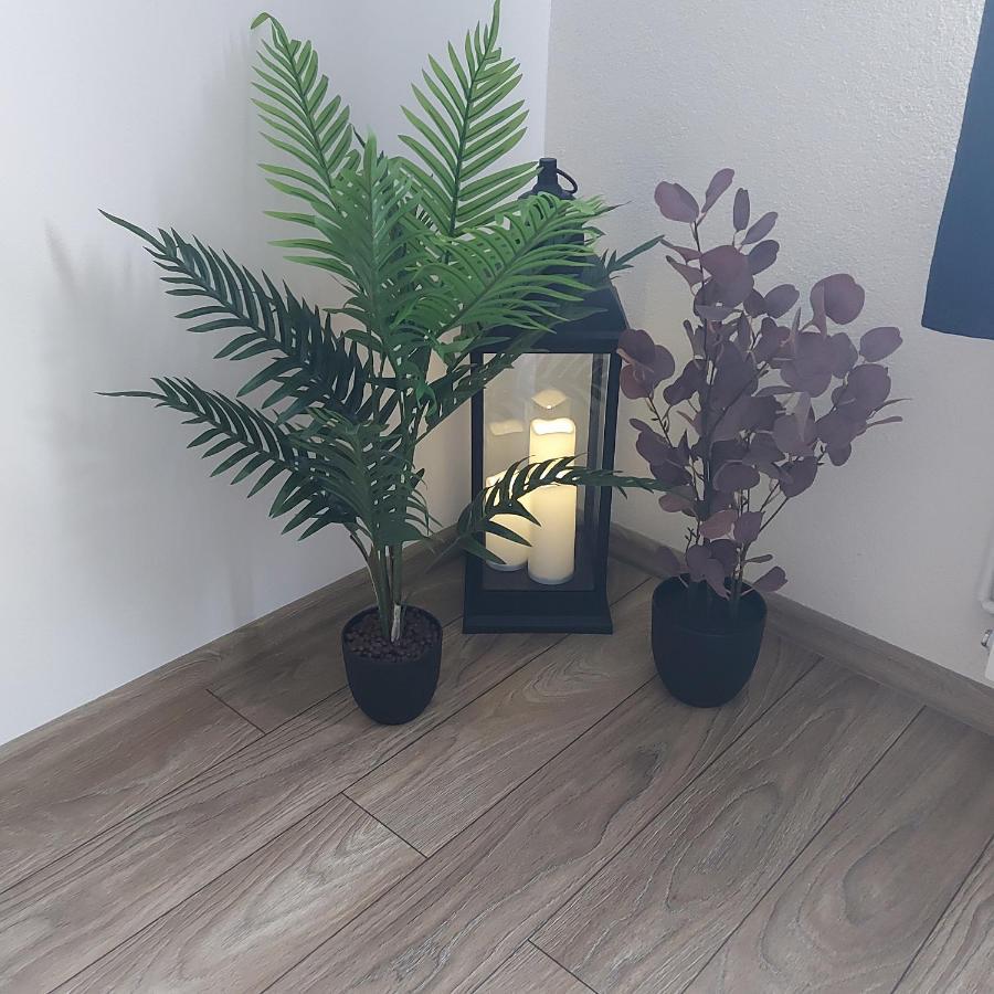 Apartament Antonias Făgăraş Eksteriør billede